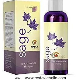 maple holistics sage shampoo for anti dandruff