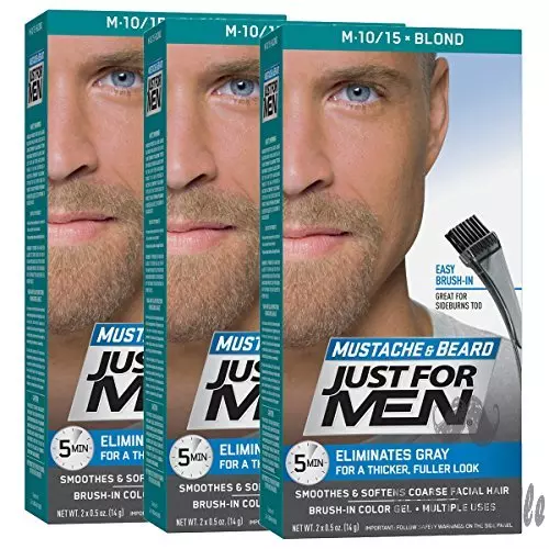 Just For Men Beard Dye Brush-In Color Gel