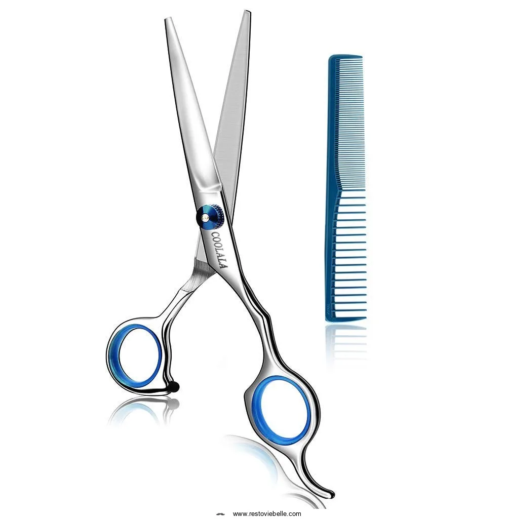 Stainless Steel Hair Cutting Scissors