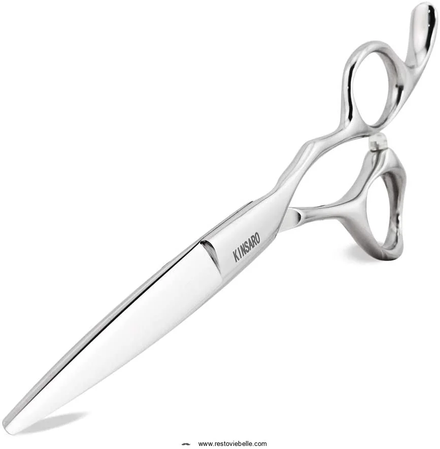 Professional Hair Shears 6 Silvery