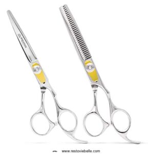 Equinox Professional Hair Scissors Set