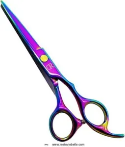 Professional Hair Cutting Shears,6 Inch B07XP6HHCL