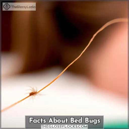 Facts About Bed Bugs
