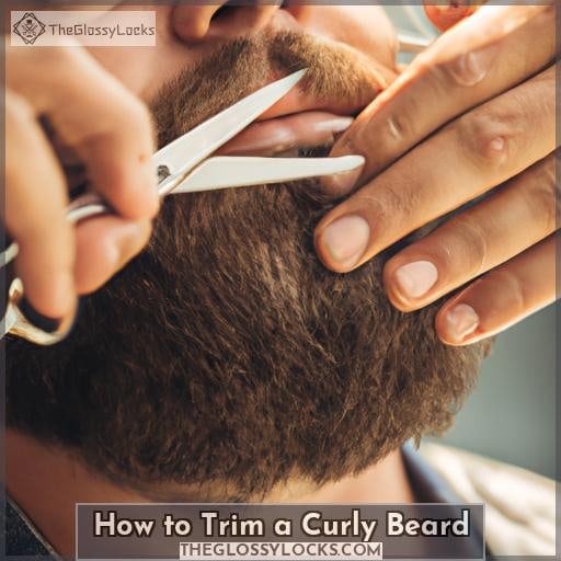 how to trim a curly beard