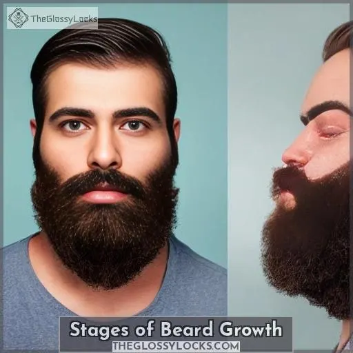 Stages of Beard Growth