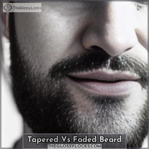Tapered Vs Faded Beard