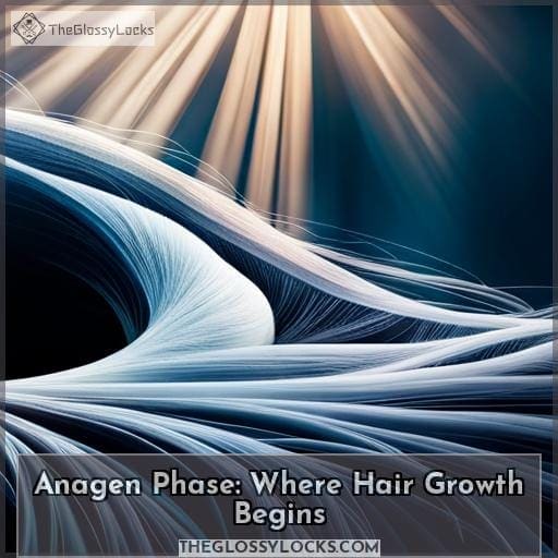 Anagen Phase: Where Hair Growth Begins Anagen Phase: Where Hair Growth Begins