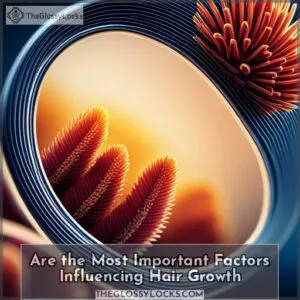 are the most important factors influencing hair growth