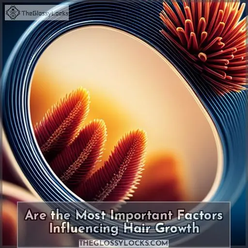 are the most important factors influencing hair growth
