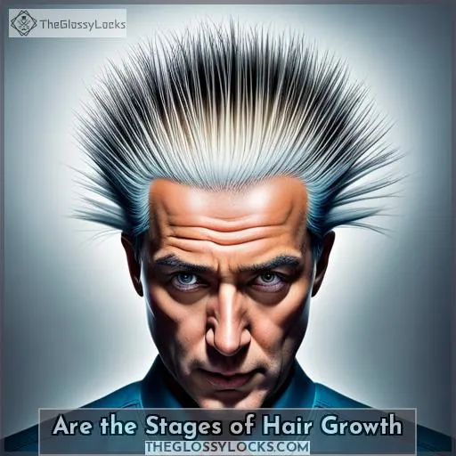 are the stages of hair growth
