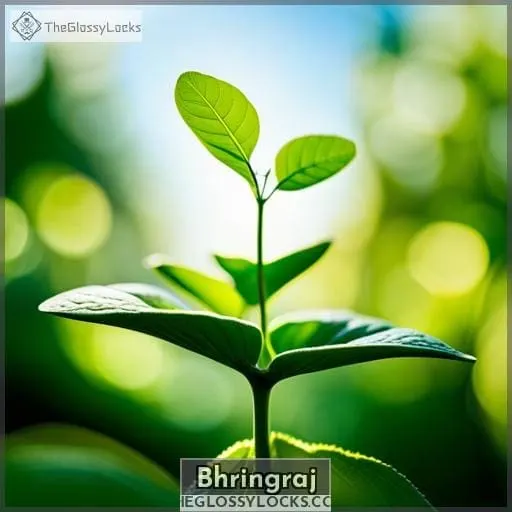 Bhringraj