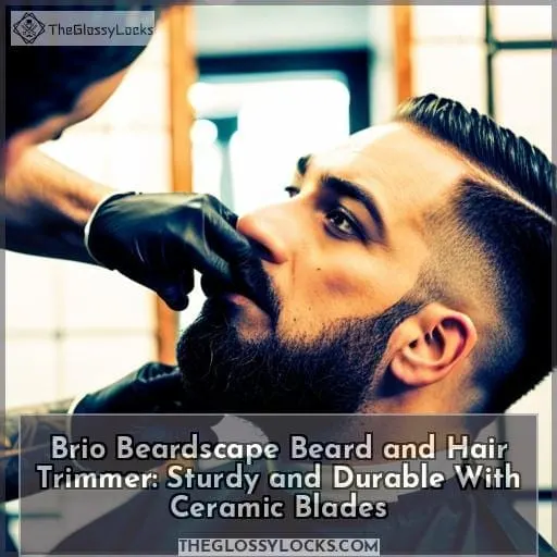 Brio Beardscape Beard and Hair Trimmer: Sturdy and Durable With Ceramic Blades