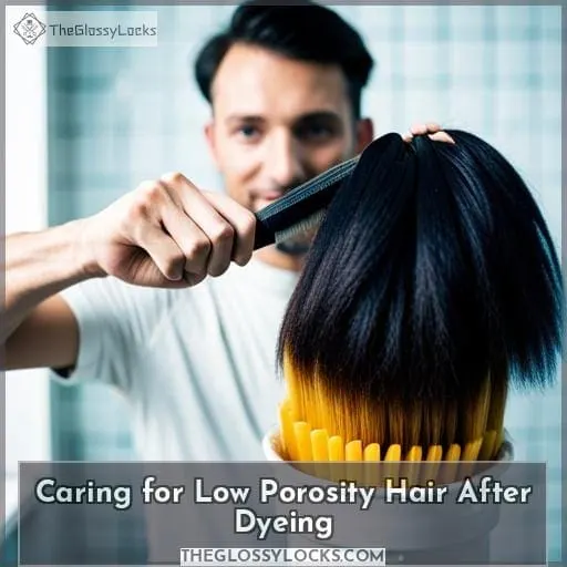 Caring for Low Porosity Hair After Dyeing