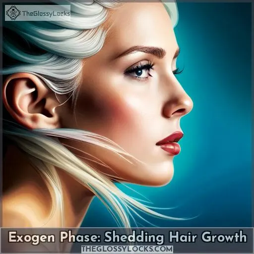 Exogen Phase: Shedding Hair Growth