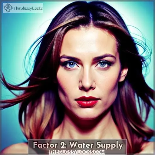 Factor 2: Water Supply
