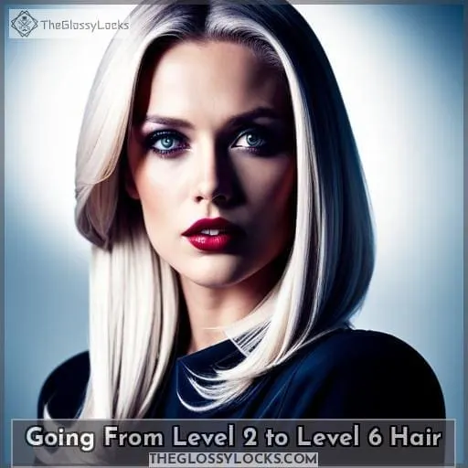Going From Level 2 to Level 6 Hair