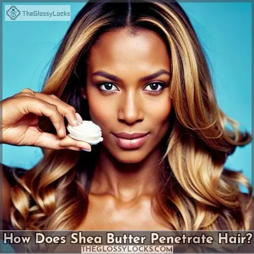 How Does Shea Butter Penetrate Hair?