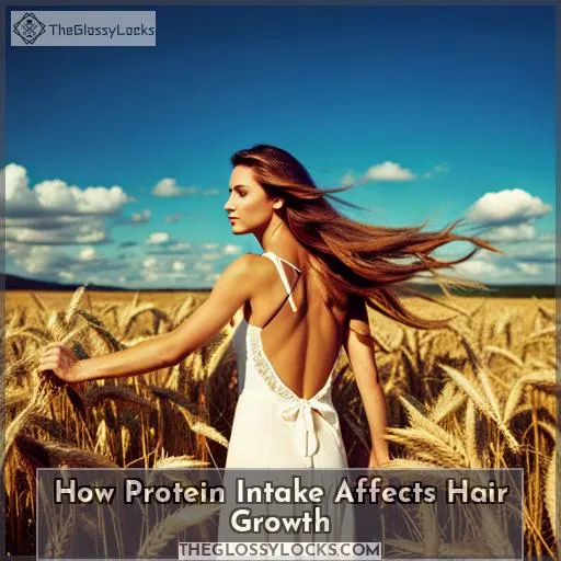 How Protein Intake Affects Hair Growth