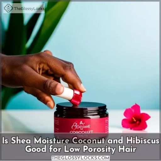 is shea moisture coconut and hibiscus good for low porosity hair