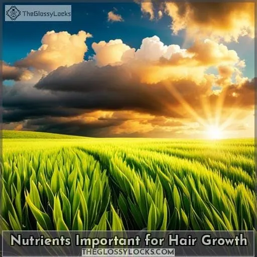 Nutrients Important for Hair Growth