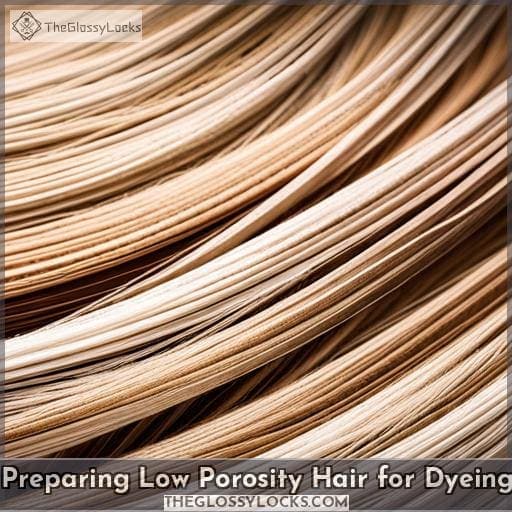 Preparing Low Porosity Hair for Dyeing Preparing Low Porosity Hair for Dyeing