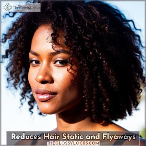 Reduces Hair Static and Flyaways Reduces Hair Static and Flyaways