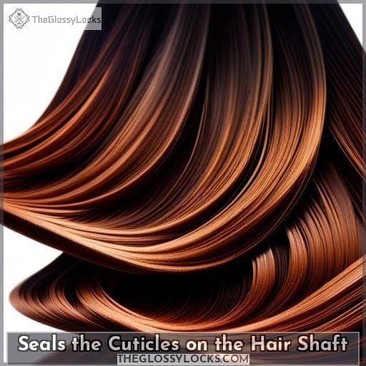 Seals the Cuticles on the Hair Shaft Seals the Cuticles on the Hair Shaft