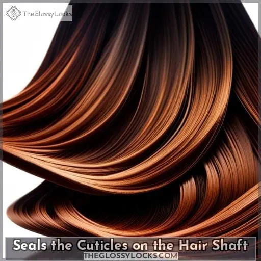 Seals the Cuticles on the Hair Shaft