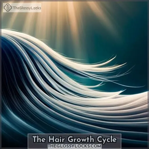 The Hair Growth Cycle