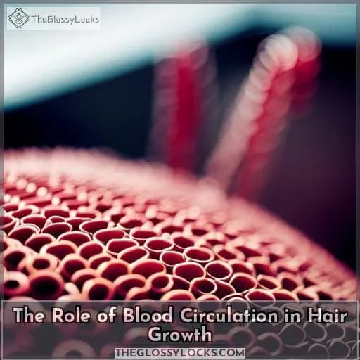 The Role of Blood Circulation in Hair Growth