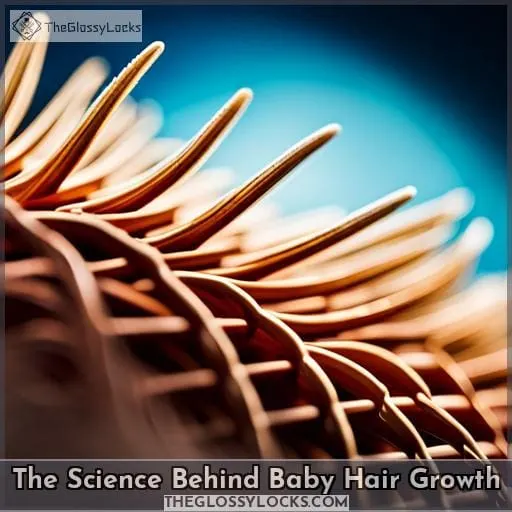 The Science Behind Baby Hair Growth