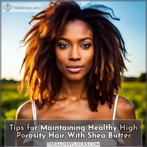 Tips for Maintaining Healthy High Porosity Hair With Shea Butter