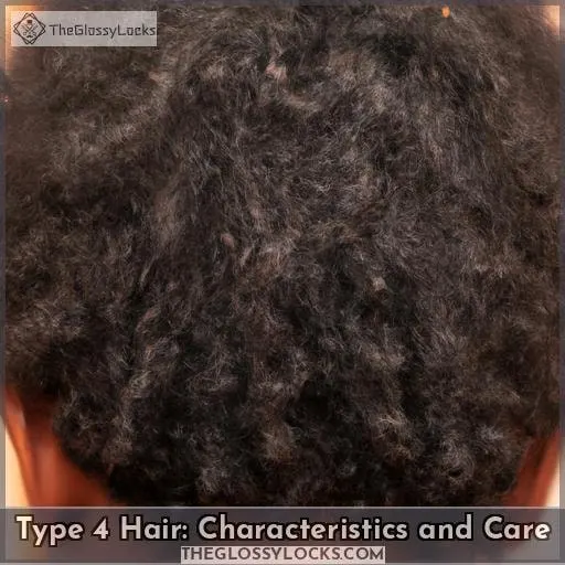 Type 4 Hair: Characteristics and Care