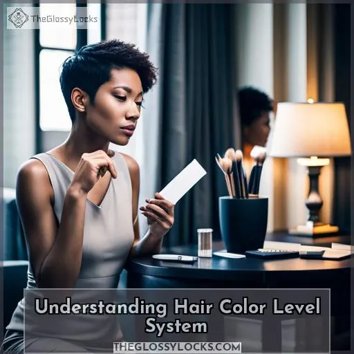 Understanding Hair Color Level System