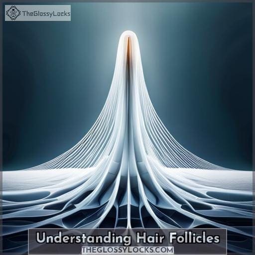 Understanding Hair Follicles Understanding Hair Follicles