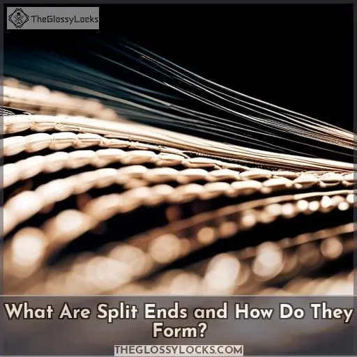 What Are Split Ends and How Do They Form?