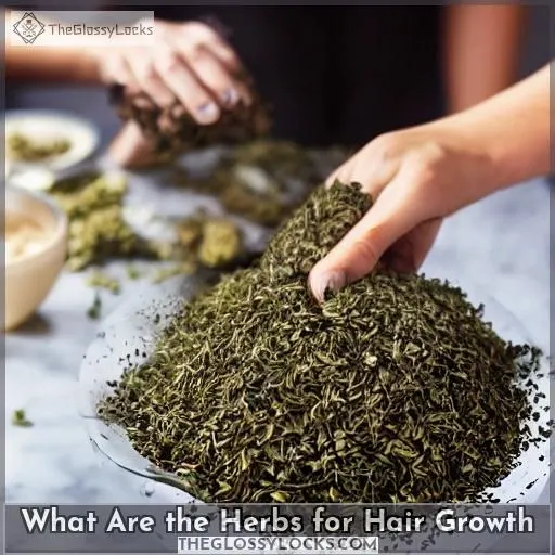 what are the herbs for hair growth