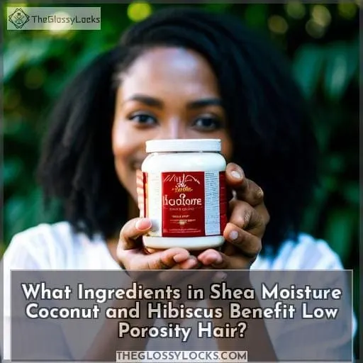 What Ingredients in Shea Moisture Coconut and Hibiscus Benefit Low Porosity Hair?