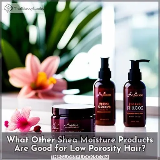 What Other Shea Moisture Products Are Good for Low Porosity Hair?
