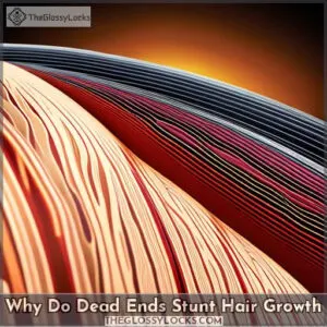 why do dead ends stunt hair growth