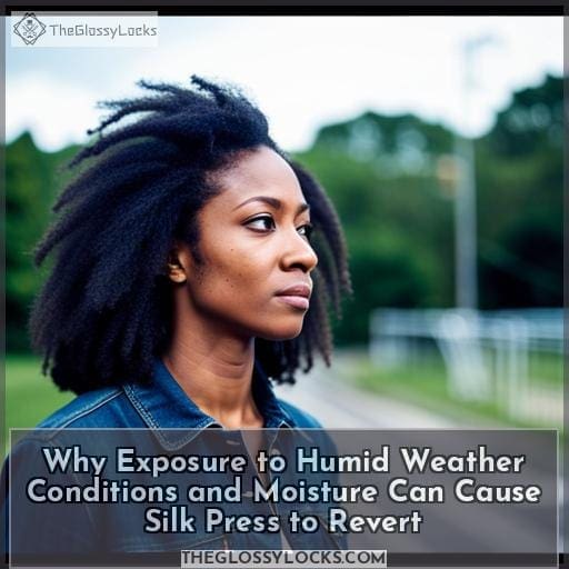 Why Exposure to Humid Weather Conditions and Moisture Can Cause Silk Press to Revert Why Exposure to Humid Weather Conditions and Moisture Can Cause Silk Press to Revert