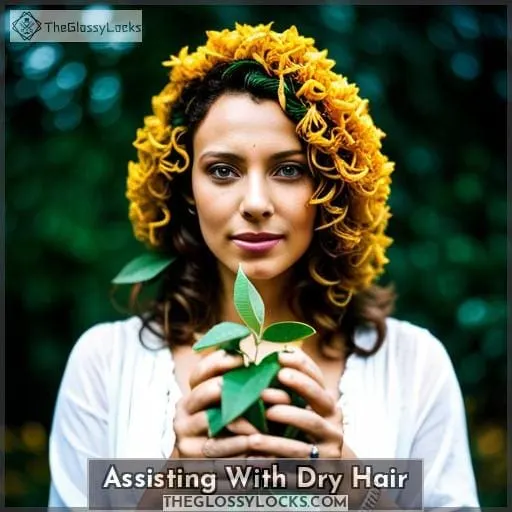 Assisting With Dry Hair