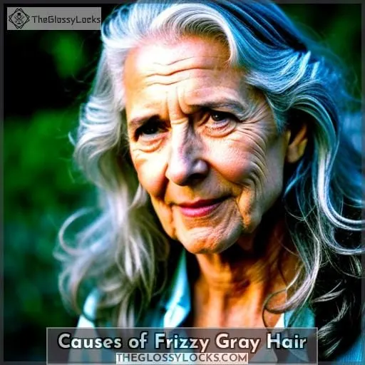 Causes of Frizzy Gray Hair