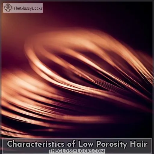 Characteristics of Low Porosity Hair