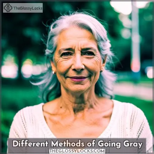 Different Methods of Going Gray