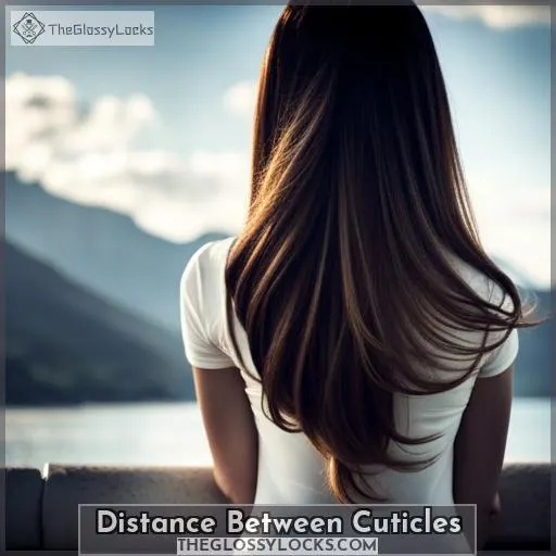 Distance Between Cuticles