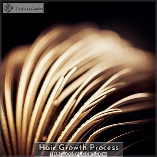Hair Growth Process