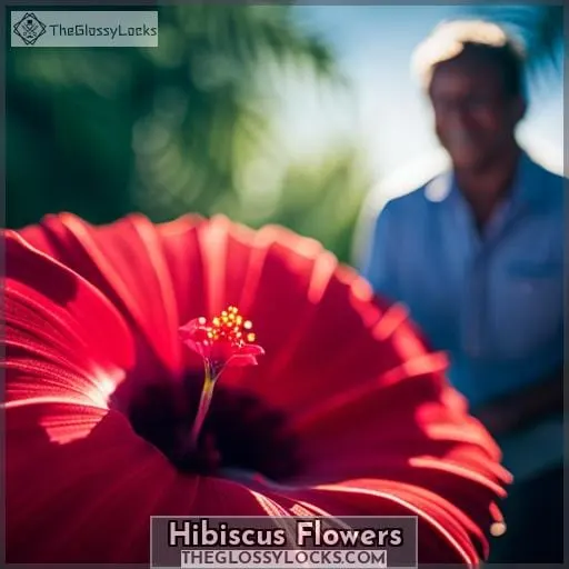 Hibiscus Flowers