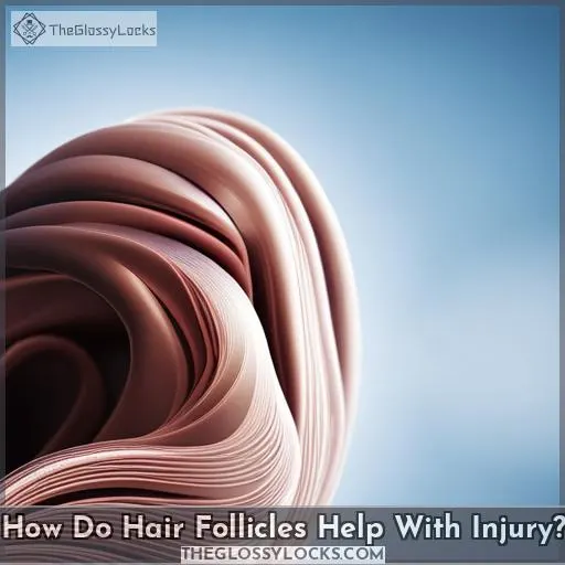 How Do Hair Follicles Help With Injury?