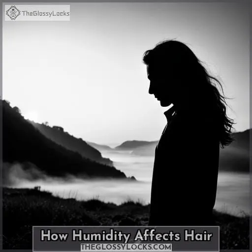 How Humidity Affects Hair